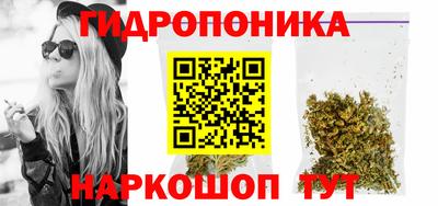 стафф Гатчина