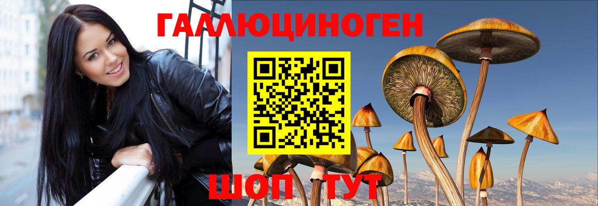 Белгород  Псилоцибиновые грибы MAGIC MUSHROOMS  Вход с VPN 